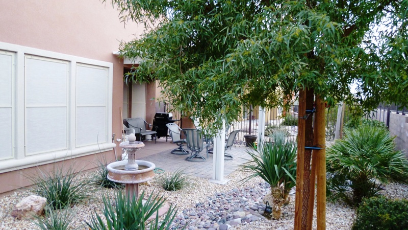 Sun City Mesquite Back Yard and patio