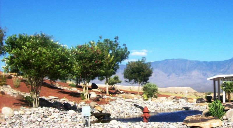 Community Area in Vista Del Monte by Ence Homes