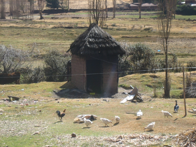 Hut