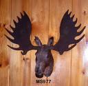  picture of moose