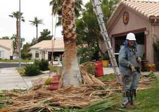 Carlos Deleon - the real Mesquite tree trimmer Carlos Deleon - Gardener Mesquite NV